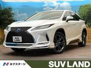 2020 LEXUS RX