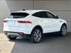 JAGUAR OTHER
