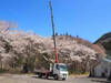 FUSO FIGHTER