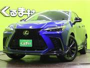 2022 LEXUS NX