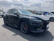 2024 LEXUS RX