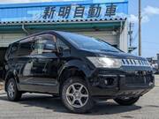 2010 MITSUBISHI OTHER