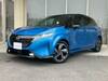 NISSAN OTHER