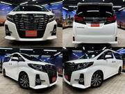 2016 TOYOTA ALPHARD