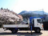 HINO POWDER CEMENT TRUCK