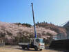 HINO POWDER CEMENT TRUCK