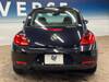 VOLKSWAGEN THE BEETLE