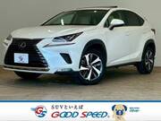 2018 LEXUS NX