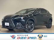 2022 LEXUS NX