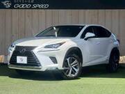 2018 LEXUS NX