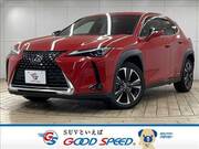 2019 LEXUS UX