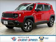 2019 CHRYSLER JEEP RENEGADE