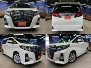 2015 TOYOTA ALPHARD