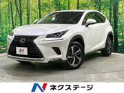 2019 LEXUS NX