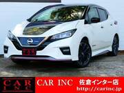 2019 NISSAN LEAF