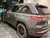 CHRYSLER JEEP GRAND CHEROKEE