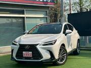 2022 LEXUS NX