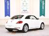 VOLKSWAGEN THE BEETLE