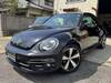 VOLKSWAGEN THE BEETLE