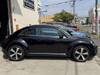 VOLKSWAGEN THE BEETLE