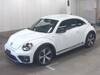 VOLKSWAGEN THE BEETLE