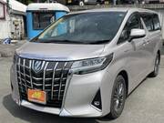 2019 TOYOTA ALPHARD HYBRID