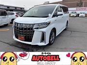 2019 TOYOTA ALPHARD HYBRID