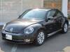 VOLKSWAGEN THE BEETLE
