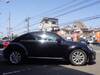 VOLKSWAGEN THE BEETLE