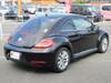 VOLKSWAGEN THE BEETLE