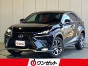 2020 LEXUS NX