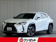 2019 LEXUS UX