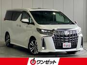 2019 TOYOTA ALPHARD