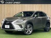 2018 LEXUS NX