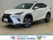 2018 LEXUS NX