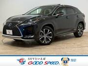 2019 LEXUS RX