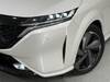 NISSAN OTHER