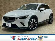 2019 MAZDA CX-3