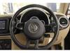 VOLKSWAGEN THE BEETLE