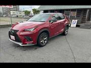 2019 LEXUS NX