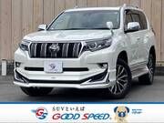 2019 TOYOTA LAND CRUISER PRADO