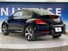 VOLKSWAGEN THE BEETLE
