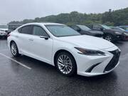 2020 LEXUS ES