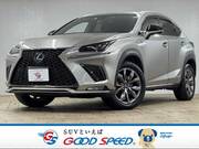 2018 LEXUS NX