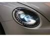 VOLKSWAGEN THE BEETLE