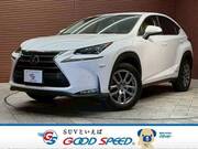 2014 LEXUS NX