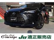 2024 LEXUS NX