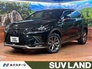 2019 LEXUS NX