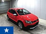 2017 OTHER POLO