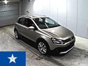 2017 OTHER POLO